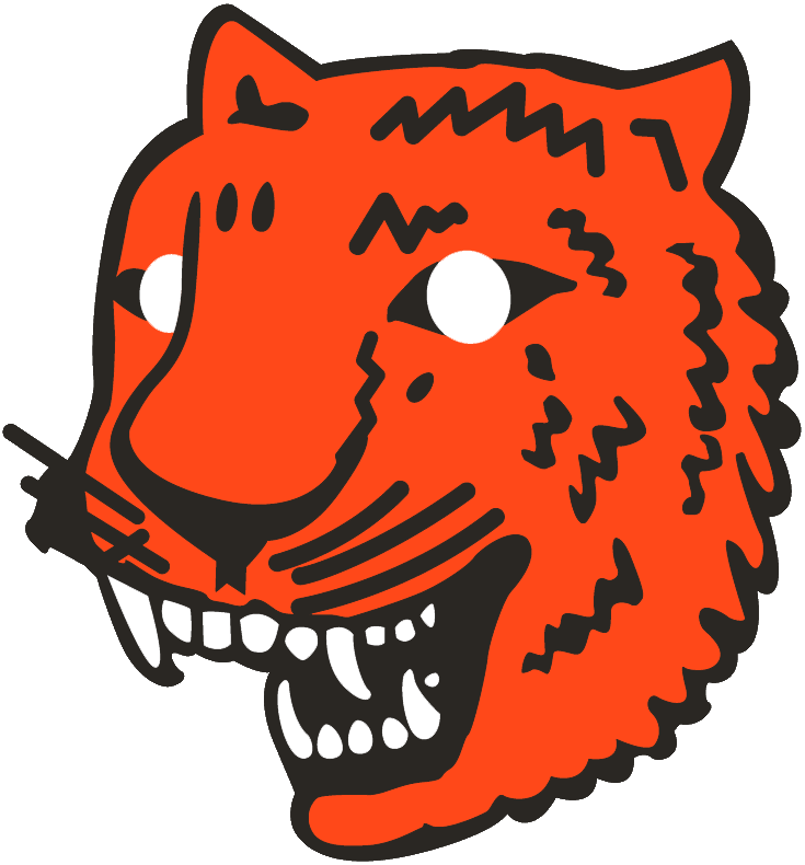 Detroit Tigers 1927-1928 Primary Logo DIY iron on transfer (heat transfer)